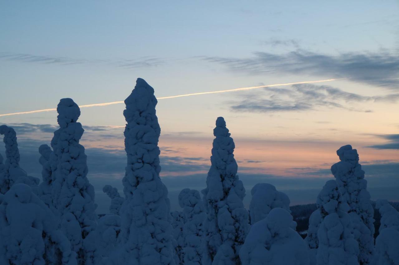 Polaris Homes For You Rovaniemi Eksteriør billede