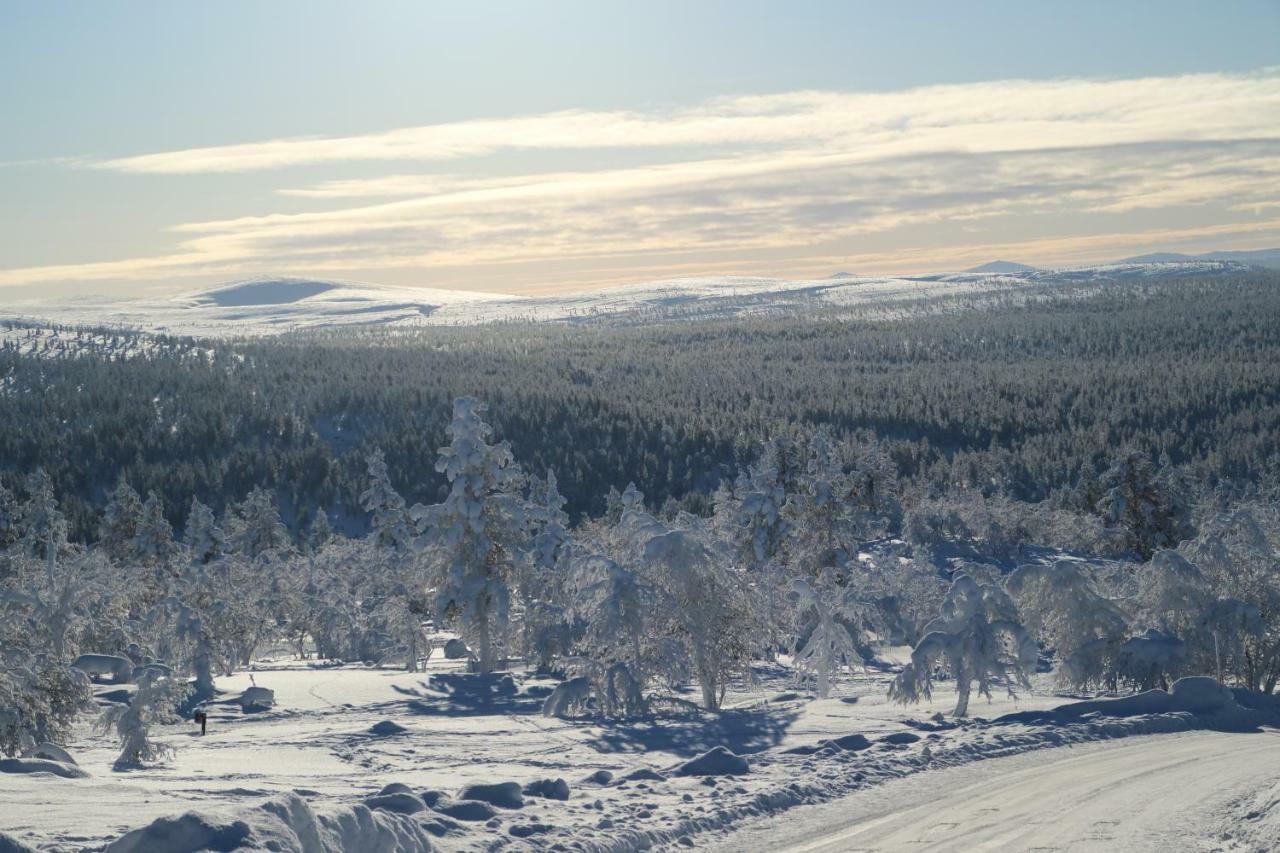 Polaris Homes For You Rovaniemi Eksteriør billede